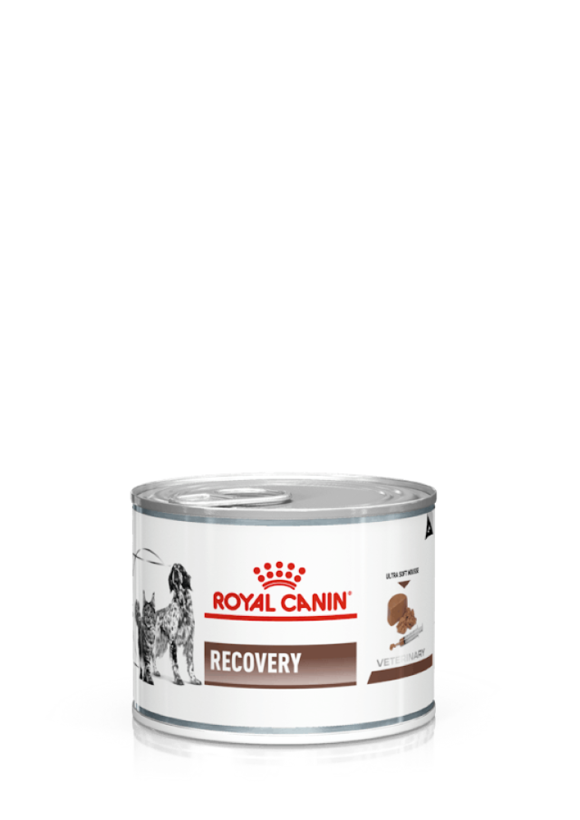 Royal Canin Recovery Yaş Köpek Maması