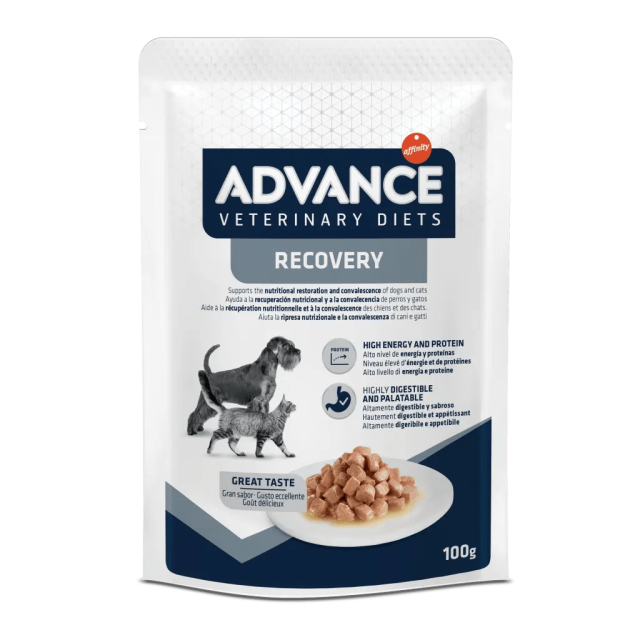 Advance Recovery Yaş Kedi Maması