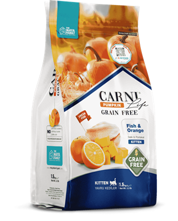 Carni Life Pumpkin Kitten Tahılsız Balık Etli & Portakallı Yavru Kedi Maması