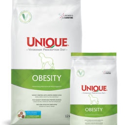 Unique Obesity Hindili Kuzu Etli Köpek Maması