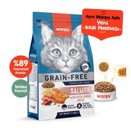 Wanpy Tahılsız Somonlu Yetişkin Kedi Maması