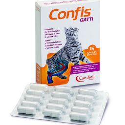 Confis Cats