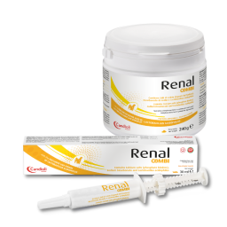 Renal Combi