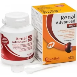 Renal Advanced