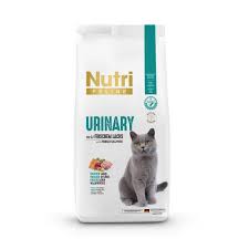 Nutri Böbrek Sağlığı Destek